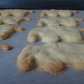 hellosct1-cookie.jpg